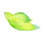 小鳥イラスト