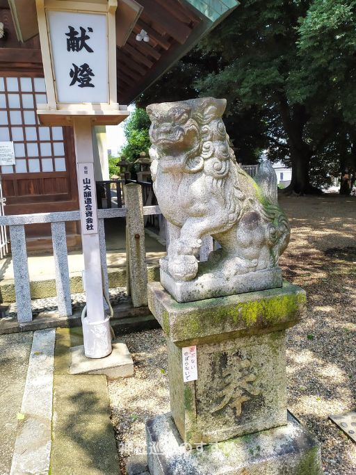 右側拝殿前の狛犬