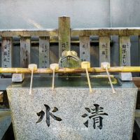 橿森神社手水舎の吐水口のカエル