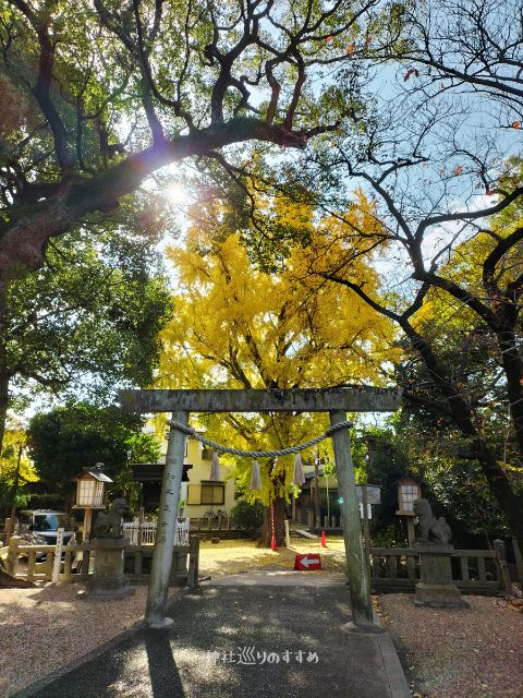 熊野三社イチョウの木と二の鳥居