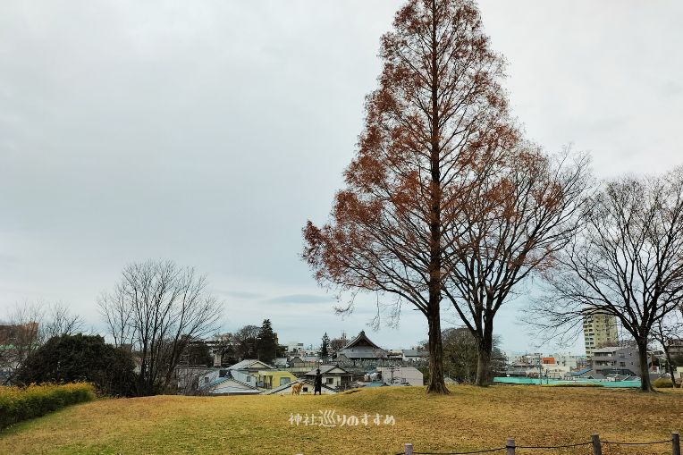 西側の展望と笠寺観音