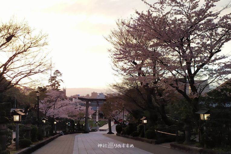 伊奈波神社桜の参道ライトアップ