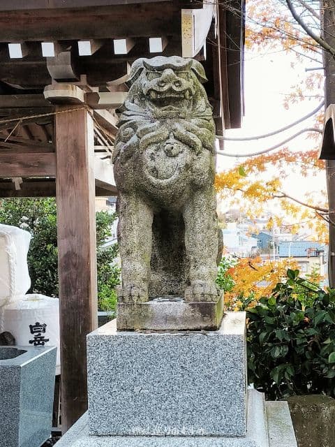 毛谷黒龍神社阿形の狛犬さん