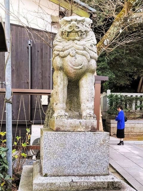 毛谷黒龍神社狛犬吽形の狛犬さん