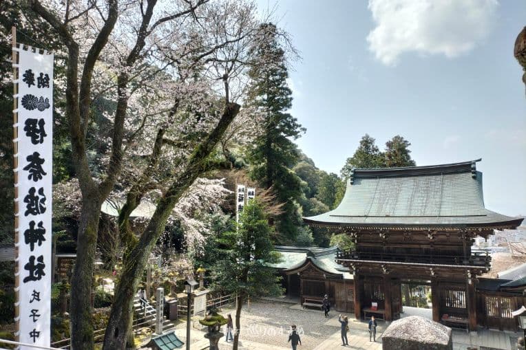 伊奈波神社楼門と桜