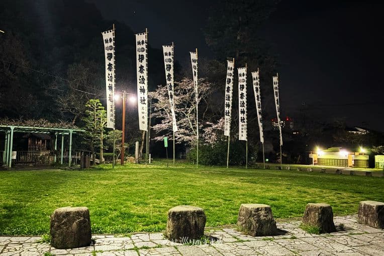 伊奈波神社広場桜のライトアップ