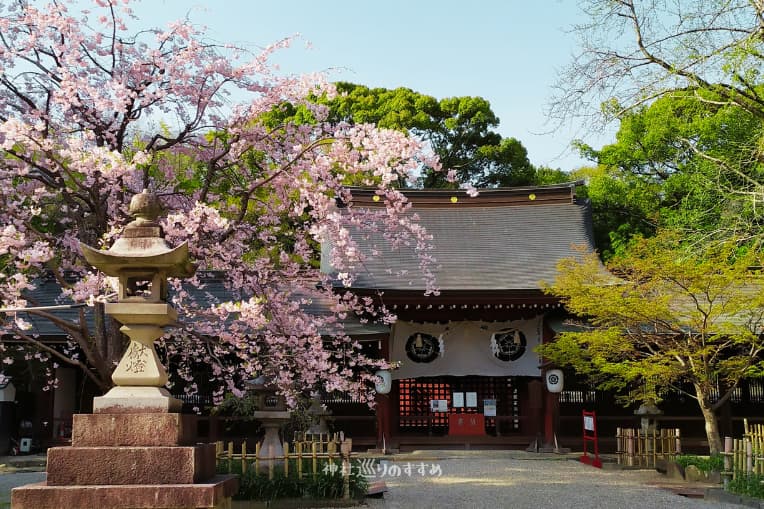 富部神社と桜の木4月
