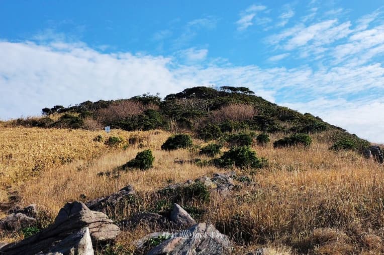 雄島の西側の景色