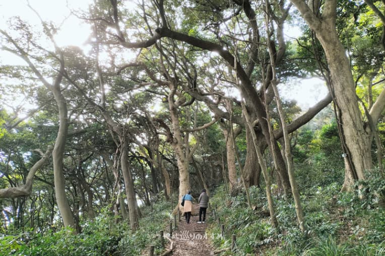 雄島遊歩道③