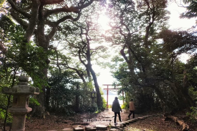 雄島遊歩道⑥