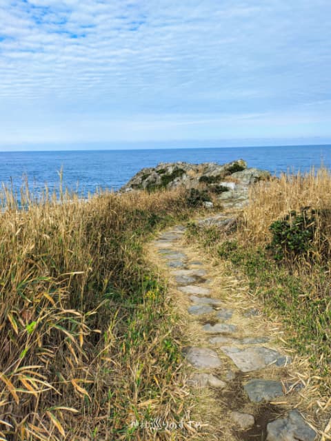 雄島遊歩道⑧