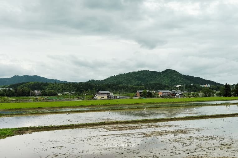 滋賀県犬上郡多賀町田園風景