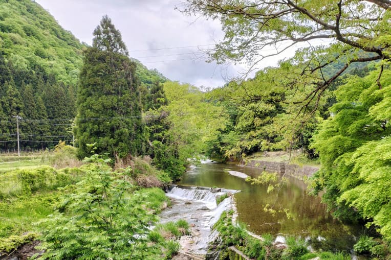 飛ノ木橋から見た芹川