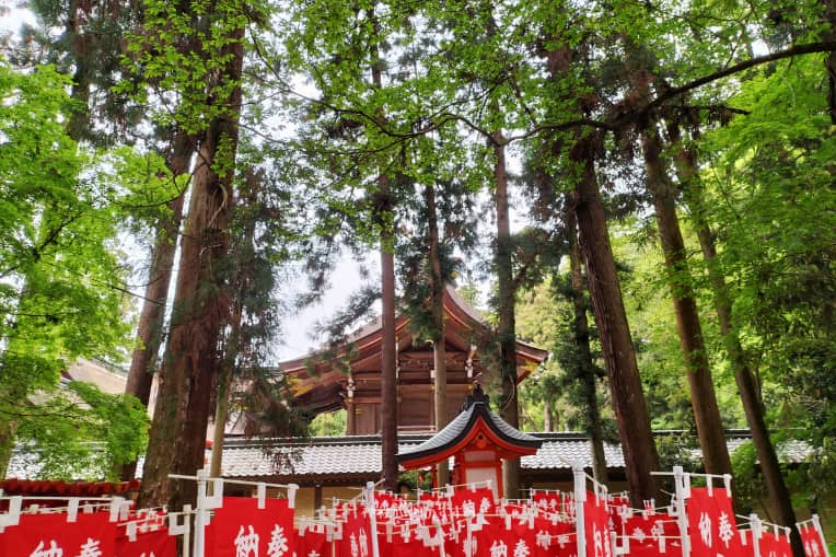 本殿と金咲稲荷神社