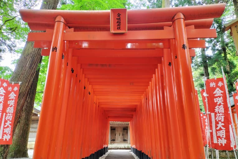 金咲稲荷神社鳥居