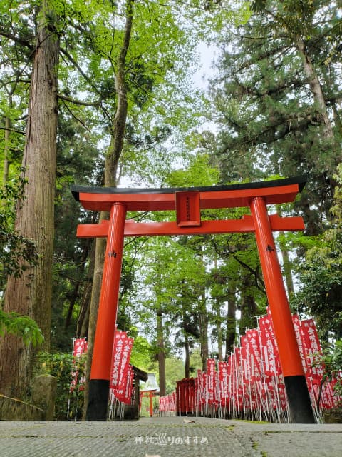 金咲稲荷神社鳥居