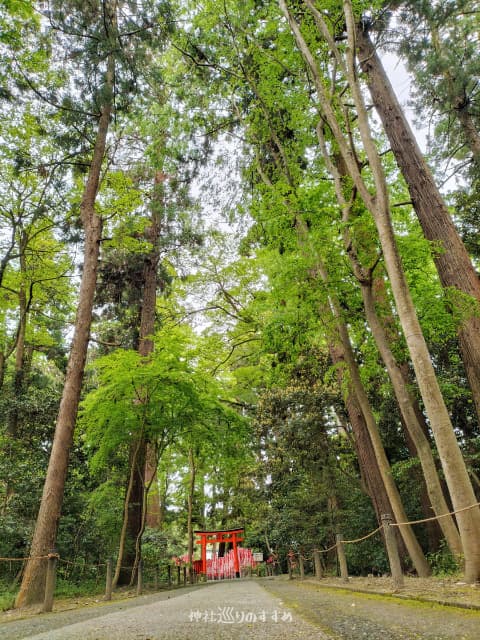 稲荷参道と金咲稲荷神社鳥居