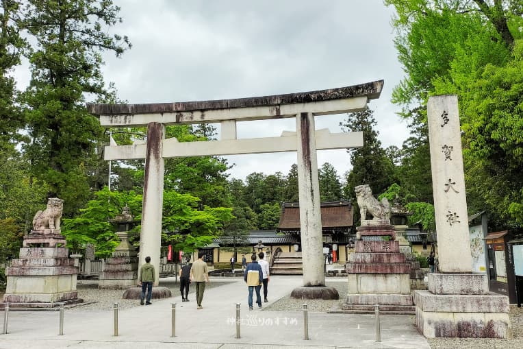 多賀大社鳥居