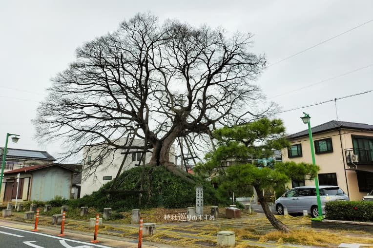 笠寺一里塚全体