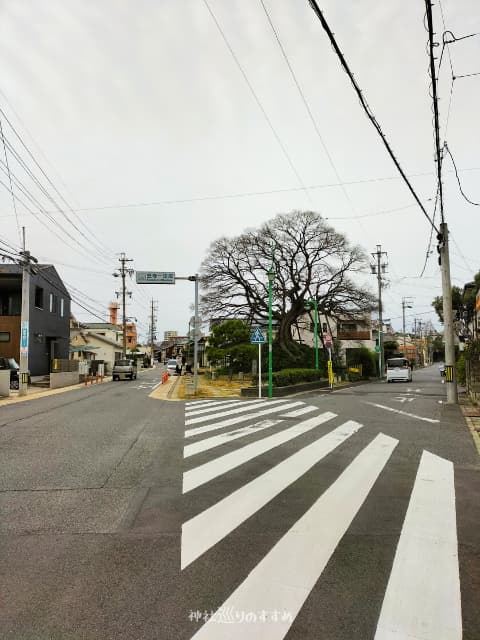 左側旧東海道