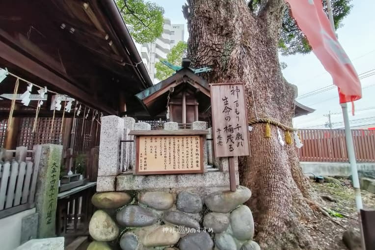 田光八幡社御神木と白龍社