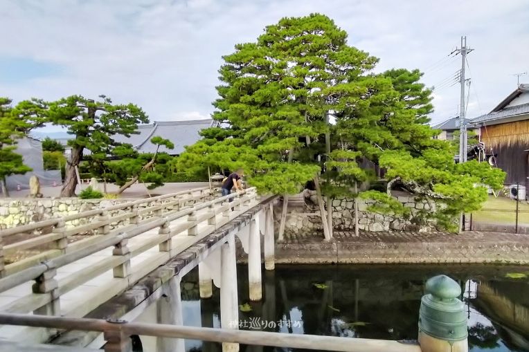 浮御堂桟橋と老松