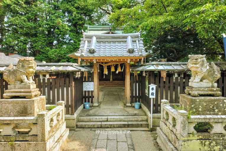 伊豆神社本殿と狛犬