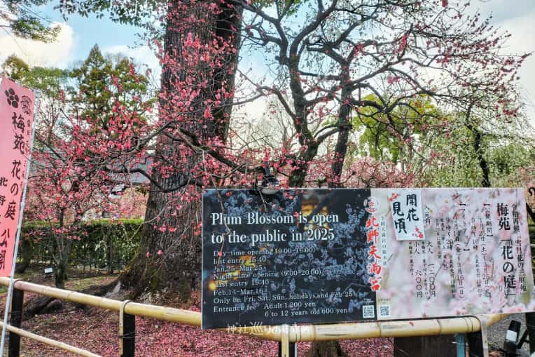 梅苑案内