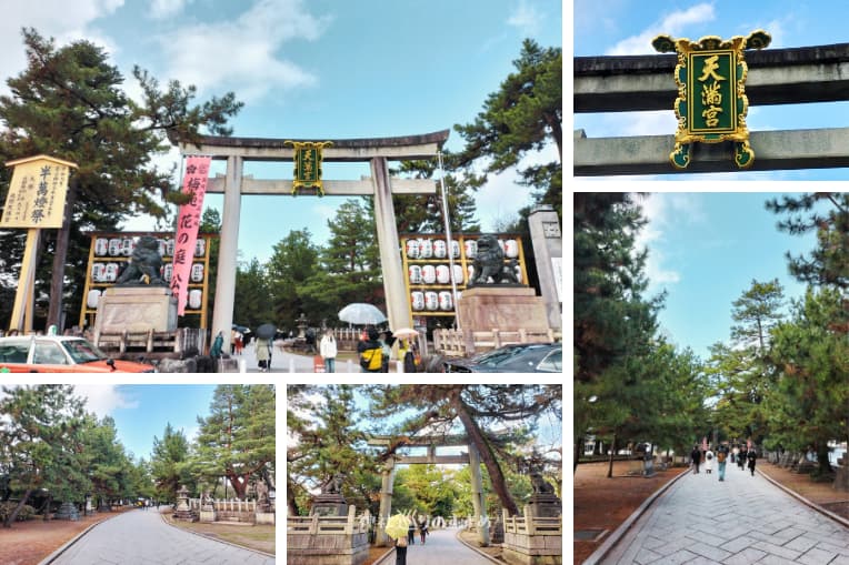 北野天満宮鳥居と松並木の参道