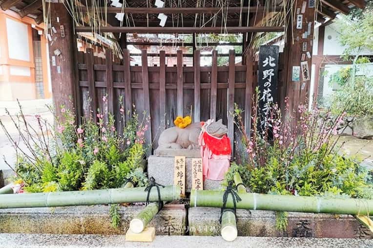 北野天満宮花手水正面