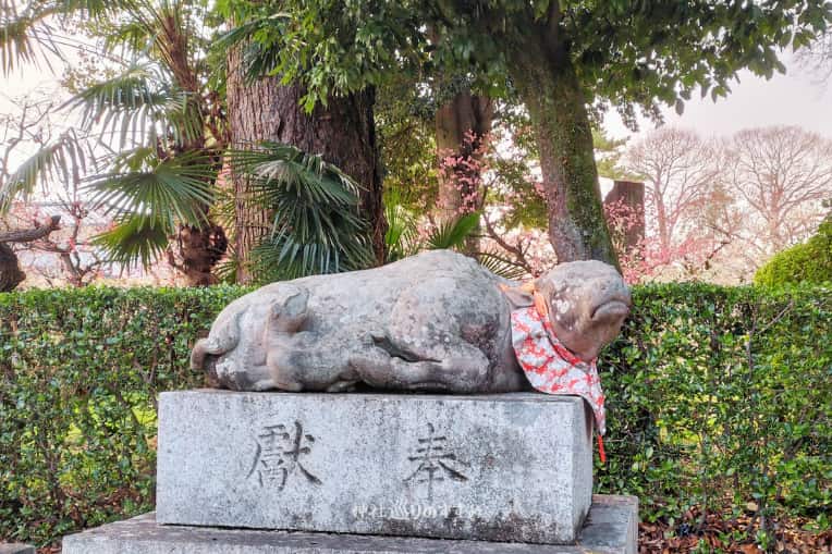 北野天満宮撫で牛「表参道」