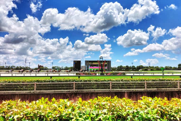 中京競馬場レースゴール前