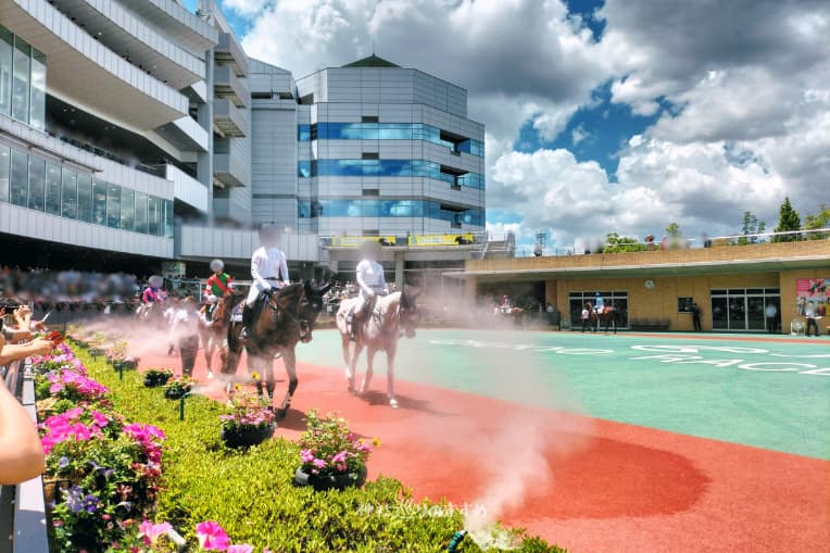 中京競馬場パドック
