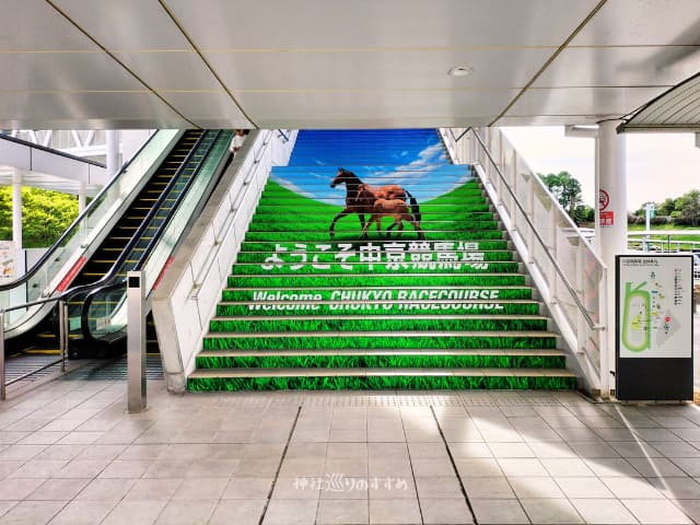 東入場門入口エスカレーター