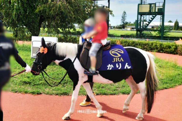 ポニー乗馬体験