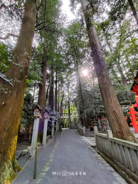 椿岸神社参道