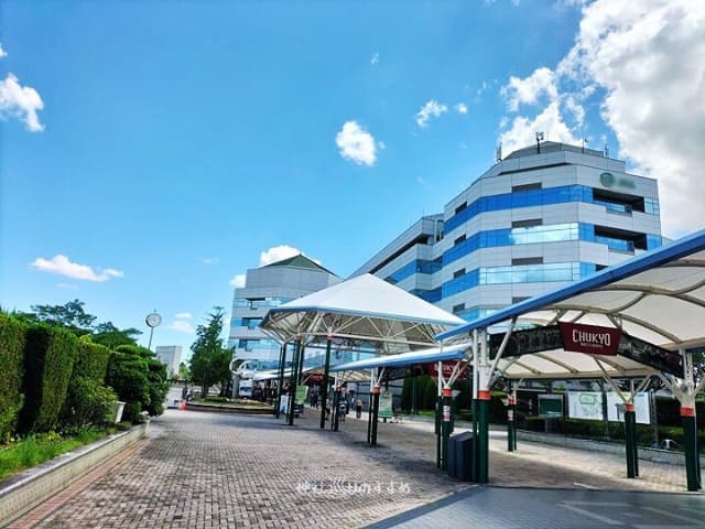 ツインハットスタンドと通路