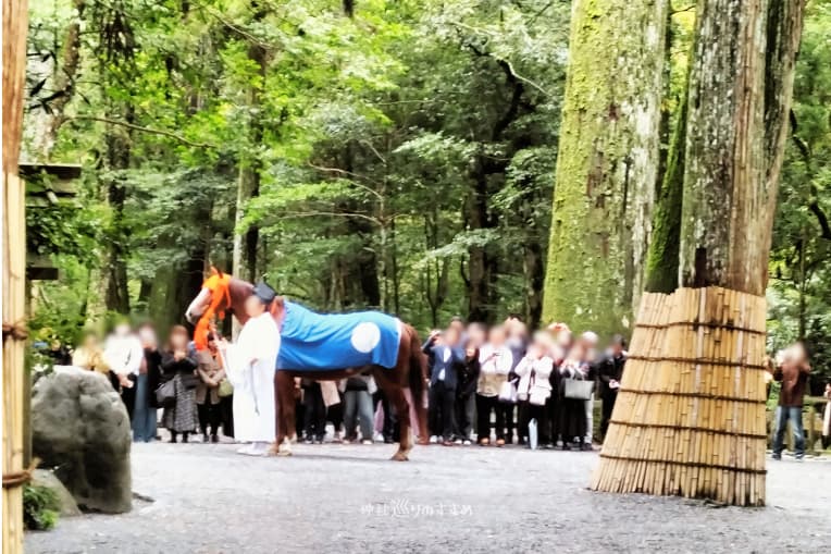 伊勢神宮内宮 神馬牽参（けんざん）