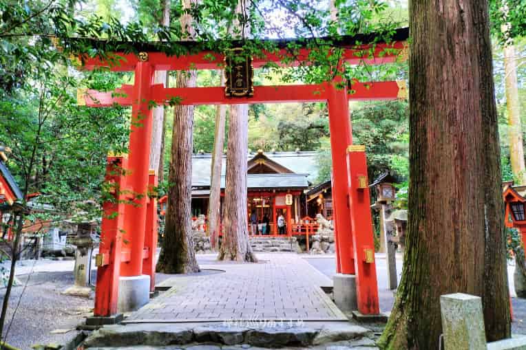 椿岸神社の朱色の鳥居