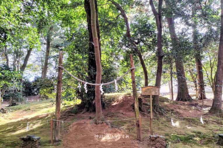 古代の祭祀が行われた場所