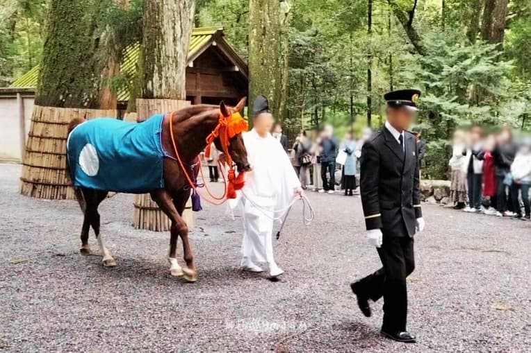 伊勢神宮内宮 参道を歩く神馬