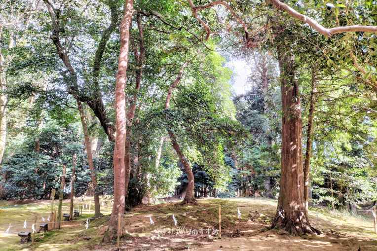 御猟野乃杜古代祭祀跡