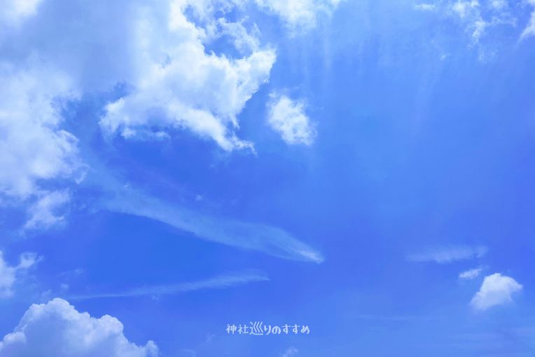 好きなもの空・泳ぐミミズ